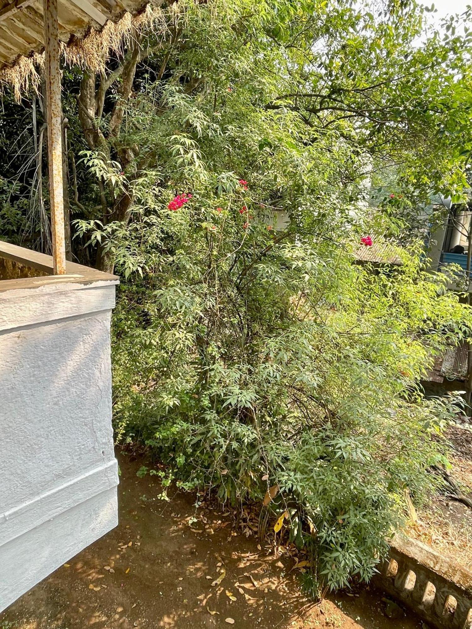 The Imperial Heritage II 2 Minutes From Station And Market II Deluxe Ac Rooms II Lonavala Exteriör bild